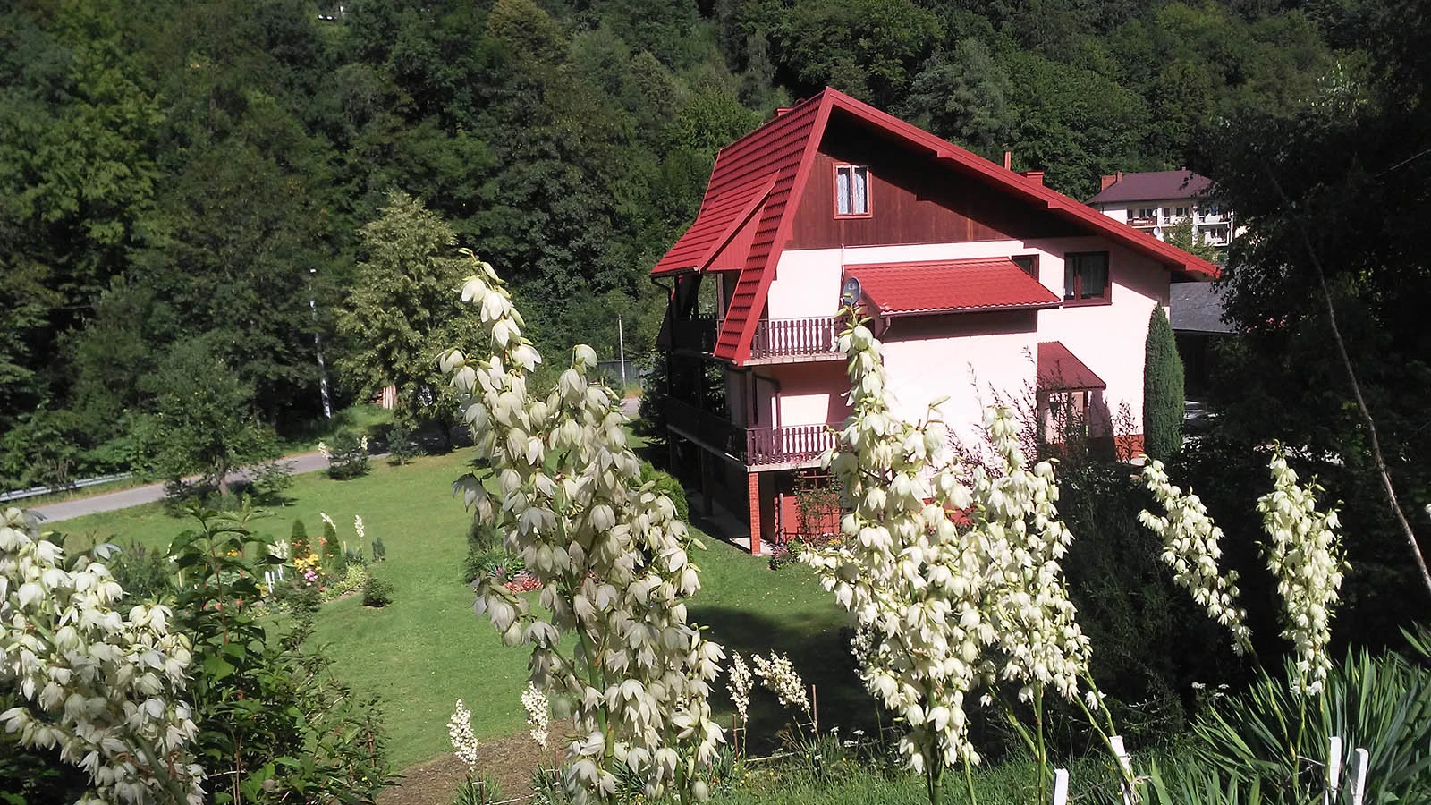 Otaczające wzgórza i ogródki