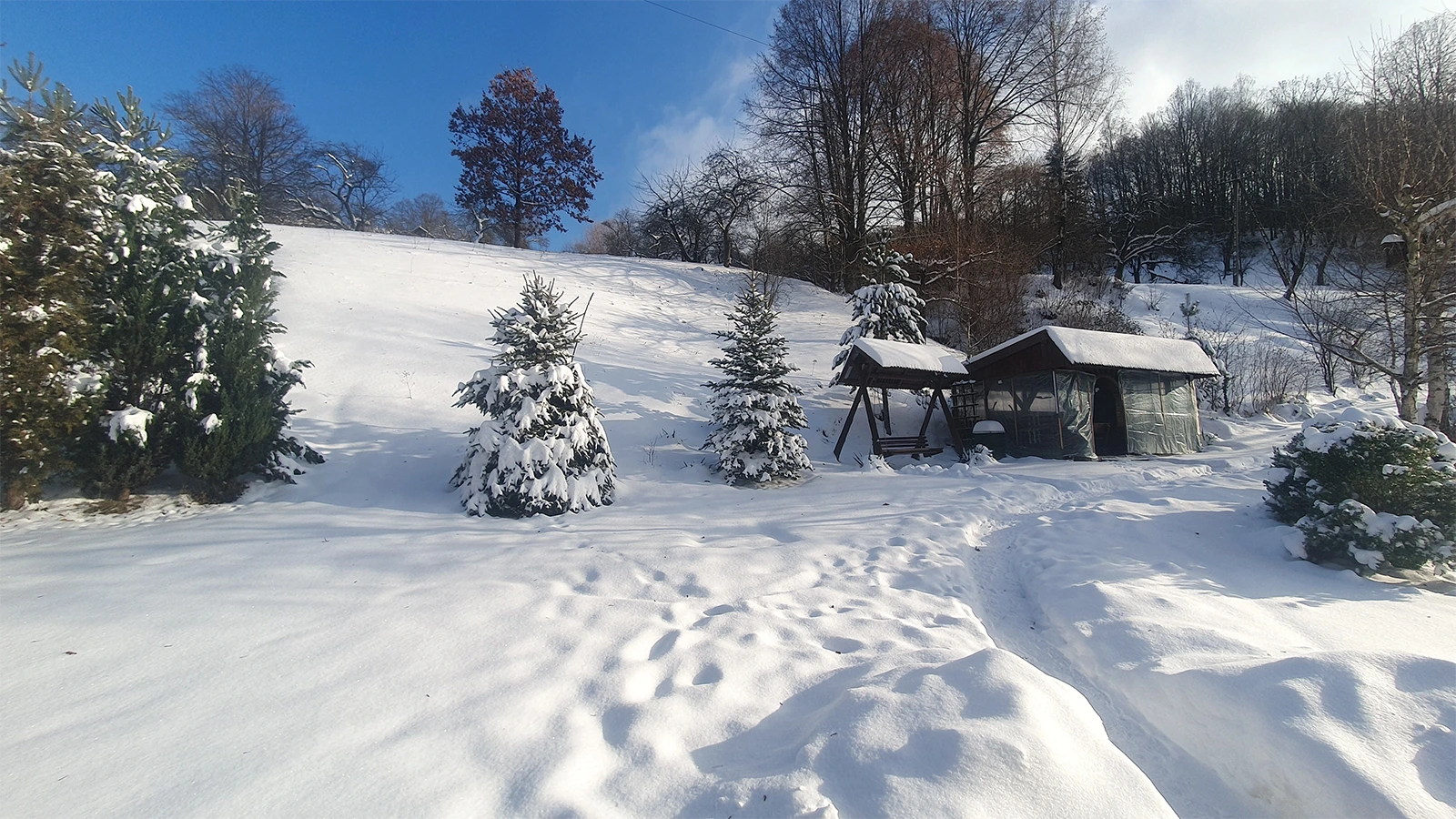 Miejsce na jazde na nartach i sankach u Basi
