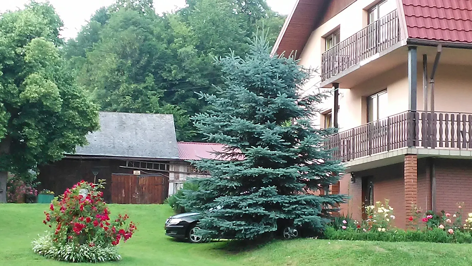 Dużo zieleni, kwiatów oraz otwartych przestrzeni